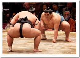 Sumo / Photographer: davidgsteadman (flickr.com)