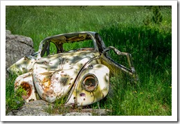 Forgotten Bug by Peter Pryharski on Unsplash